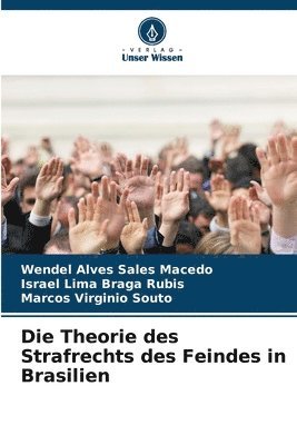 bokomslag Theorie des Strafrechts des Feindes in Brasilien