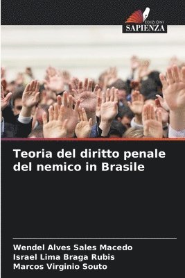 bokomslag Teoria del diritto penale del nemico in Brasile