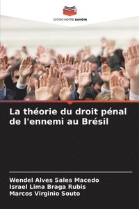 bokomslag La théorie du droit pénal de l'ennemi au Brésil