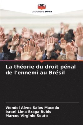 bokomslag La thorie du droit pnal de l'ennemi au Brsil