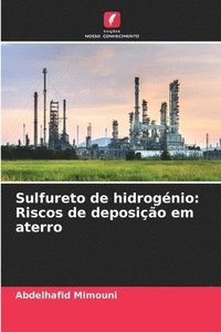 bokomslag Sulfureto de hidrogénio: Riscos de deposição em aterro