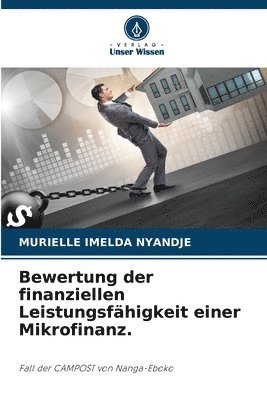 Bewertung der finanziellen Leistungsfähigkeit einer Mikrofinanz.