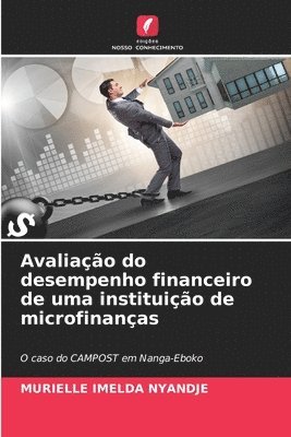 bokomslag Avaliação do desempenho financeiro de uma instituição de microfinanças