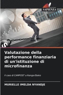 bokomslag Valutazione della performance finanziaria di un'istituzione di microfinanza