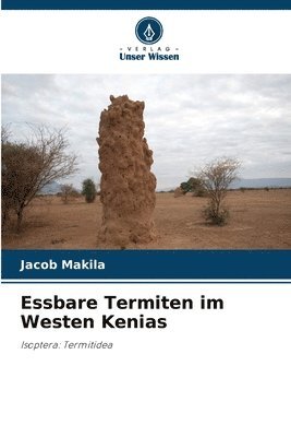 Essbare Termiten im Westen Kenias 1