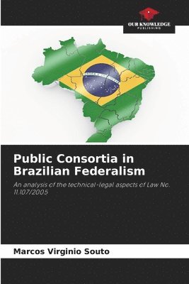 bokomslag Public Consortia in Brazilian Federalism