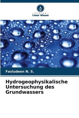 bokomslag Hydrogeophysikalische Untersuchung des Grundwassers