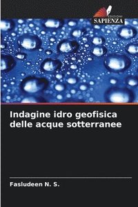 bokomslag Indagine idro geofisica delle acque sotterranee