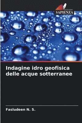 bokomslag Indagine idro geofisica delle acque sotterranee