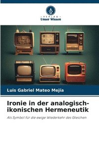 bokomslag Ironie in der analogisch-ikonischen Hermeneutik