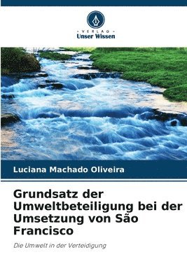 bokomslag Grundsatz der Umweltbeteiligung bei der Umsetzung von São Francisco