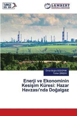Enerji ve Ekonominin Kesişim Küresi