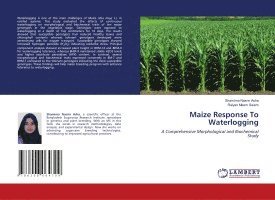 Maize Response To Waterlogging 1