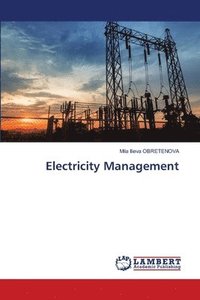 bokomslag Electricity Management