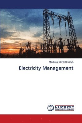 bokomslag Electricity Management