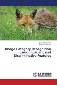 bokomslag Image Category Recognition using Invariant and Discriminative Features