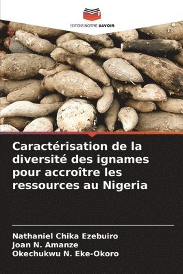 bokomslag Caractérisation de la diversité des ignames pour accroître les ressources au Nigeria