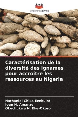 Caractérisation de la diversité des ignames pour accroître les ressources au Nigeria