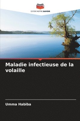 Maladie infectieuse de la volaille 1