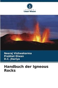 bokomslag Handbuch der Igneous Rocks