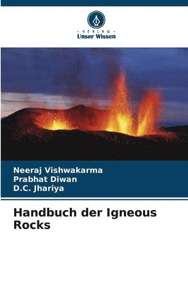 bokomslag Handbuch der Igneous Rocks