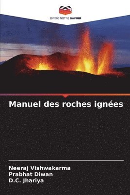 bokomslag Manuel des roches ignées