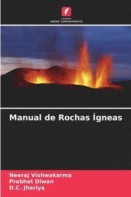 bokomslag Manual de Rochas gneas