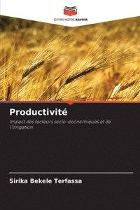 bokomslag Productivité