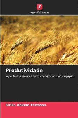 Produtividade 1