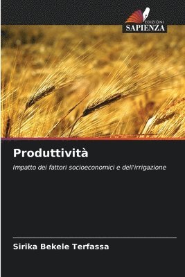 bokomslag Produttività