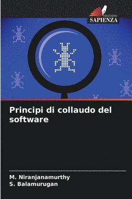 bokomslag Principi di collaudo del software