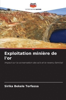 bokomslag Exploitation minière de l'or