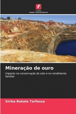 bokomslag Mineração de ouro
