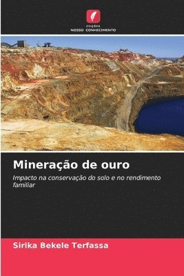 Minerao de ouro 1