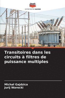 bokomslag Transitoires dans les circuits  filtres de puissance multiples