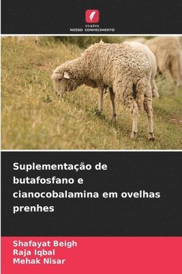 bokomslag Suplementao de butafosfano e cianocobalamina em ovelhas prenhes