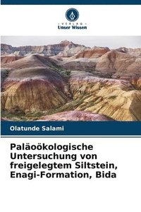 bokomslag Paläoökologische Untersuchung von freigelegtem Siltstein, Enagi-Formation, Bida