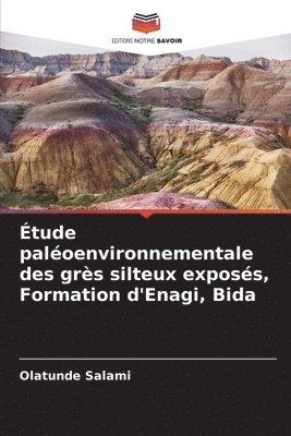 bokomslag Étude paléoenvironnementale des grès silteux exposés, Formation d'Enagi, Bida