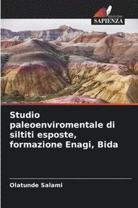 bokomslag Studio paleoenviromentale di siltiti esposte, formazione Enagi, Bida