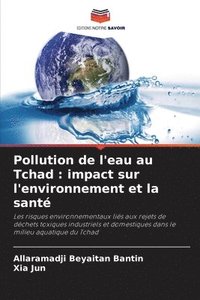 bokomslag Pollution de l'eau au Tchad: impact sur l'environnement et la santé