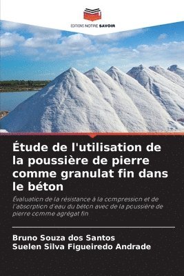 bokomslag tude de l'utilisation de la poussire de pierre comme granulat fin dans le bton