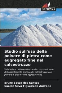 bokomslag Studio sull'uso della polvere di pietra come aggregato fine nel calcestruzzo