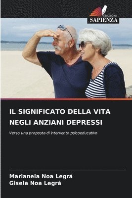 bokomslag Significato Della Vita Negli Anziani Depressi