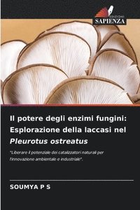 bokomslag Il potere degli enzimi fungini: Esplorazione della laccasi nel Pleurotus ostreatus