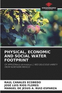 bokomslag Physical, Economic and Social Water Footprint