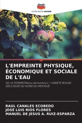 Raul Canales Ecobedo, José Luis Ríos Flores, Manuel de Jesús A Ruiz-Esparza, RAUL CANALES ECOBEDO, Manuel de Jesús A. Ruiz-Esparza - L'Empreinte Physique, Économique Et Sociale de l'Eau, Häftad