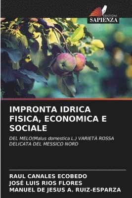 bokomslag Impronta Idrica Fisica, Economica E Sociale