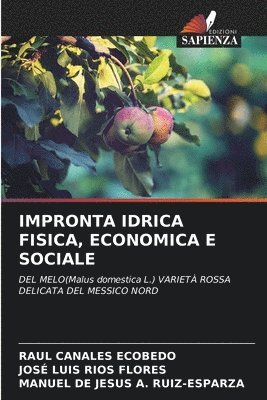 Raul Canales Ecobedo, José Luis Ríos Flores, Manuel de Jesús A Ruiz-Esparza, RAUL CANALES ECOBEDO, Manuel de Jesús A. Ruiz-Esparza - Impronta Idrica Fisica, Economica E Sociale, Häftad