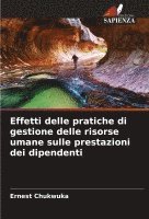 Effetti delle pratiche di gestione delle risorse umane sulle prestazioni dei dipendenti 1