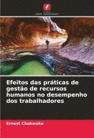 bokomslag Efeitos das prticas de gesto de recursos humanos no desempenho dos trabalhadores